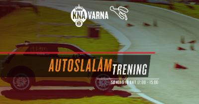 Autoslalom trening